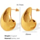 EH46 Gold Earrings Picture5